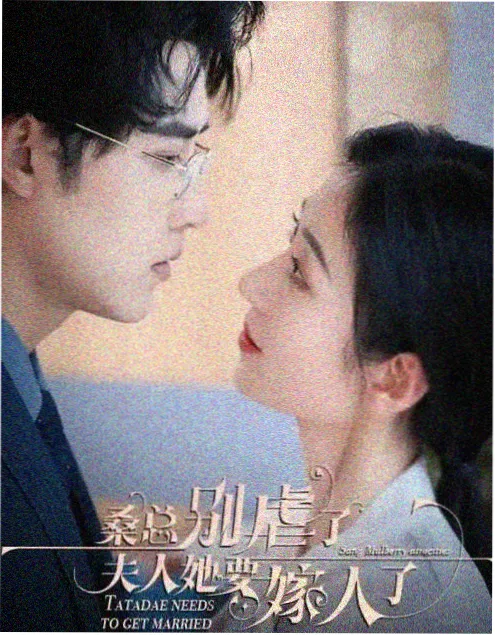 韩剧汉江以南海报